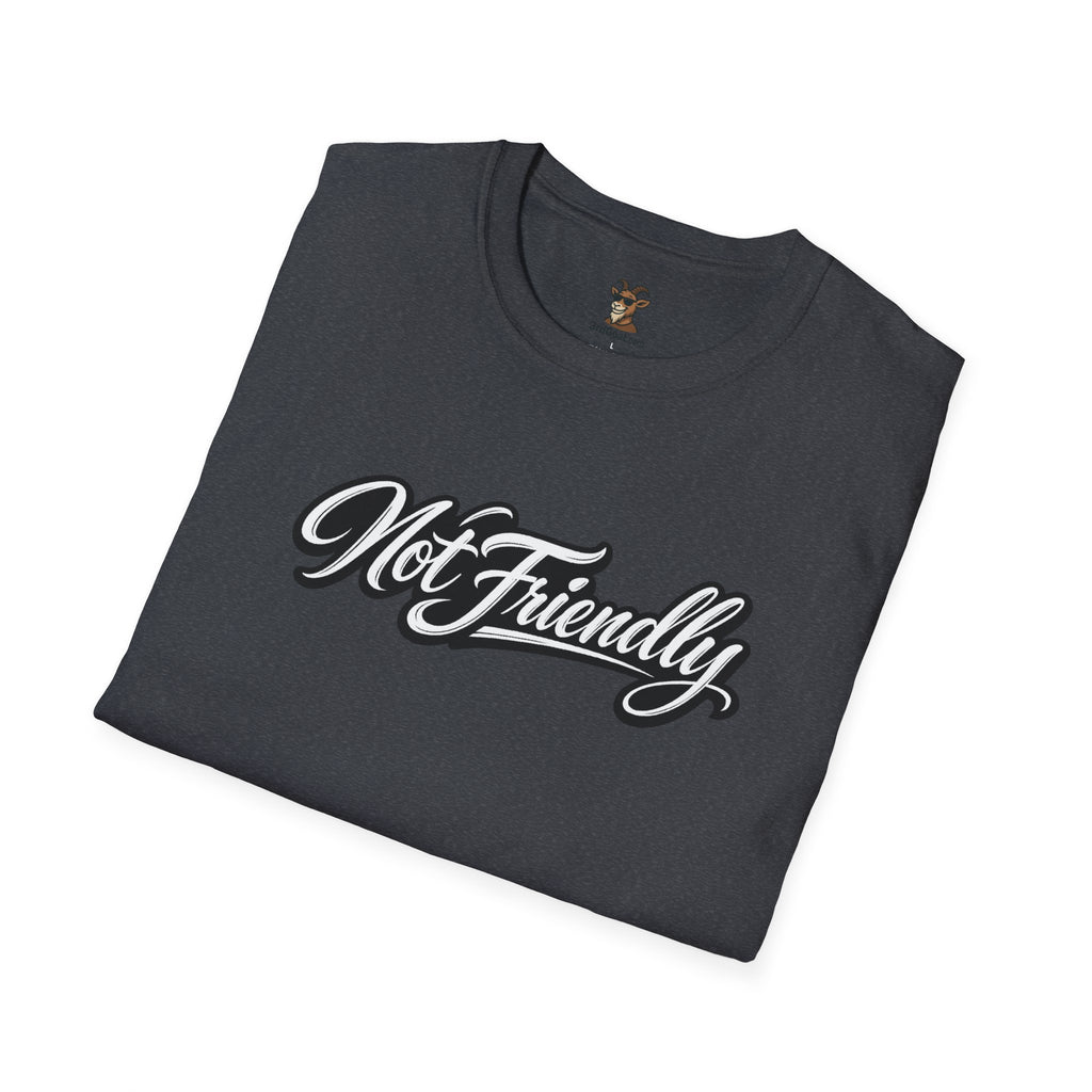 Not Friendly Graphic T-Shirt — Retro Script Statement Tee