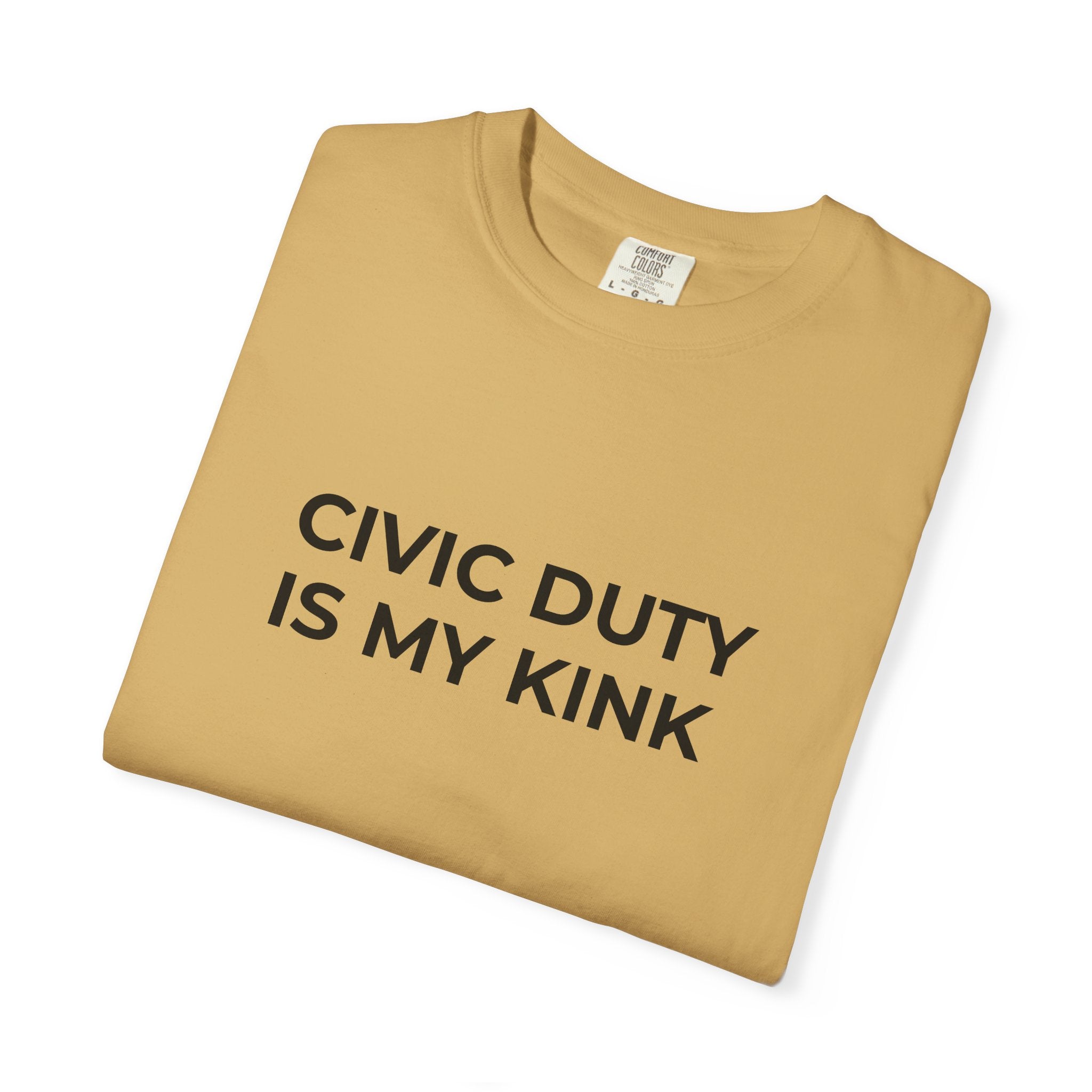 Civic Duty Is My Kink t-shirt - Progressive Valentine's