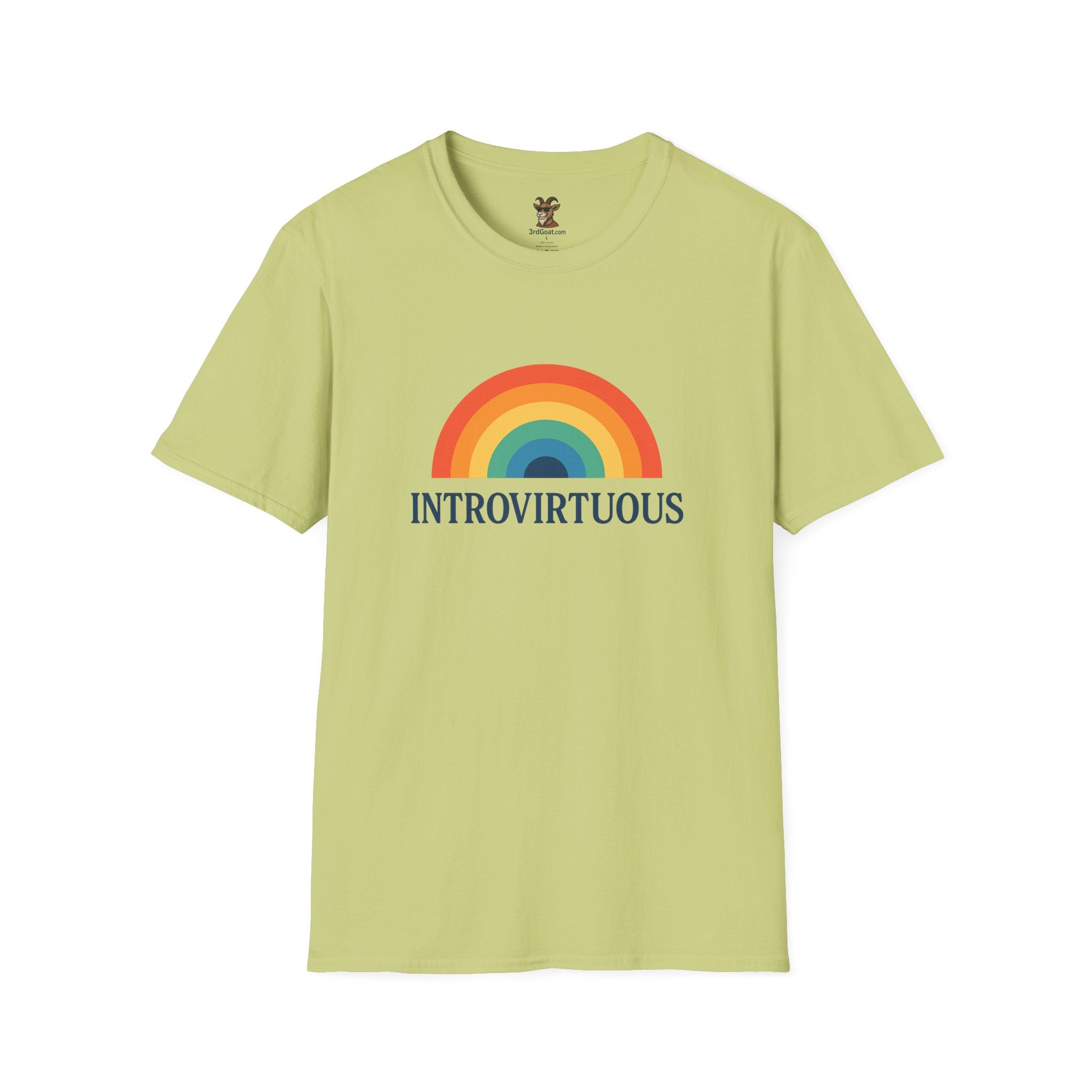 Introvirtuous Rainbow T-Shirt — Funny Introvert Graphic Tee