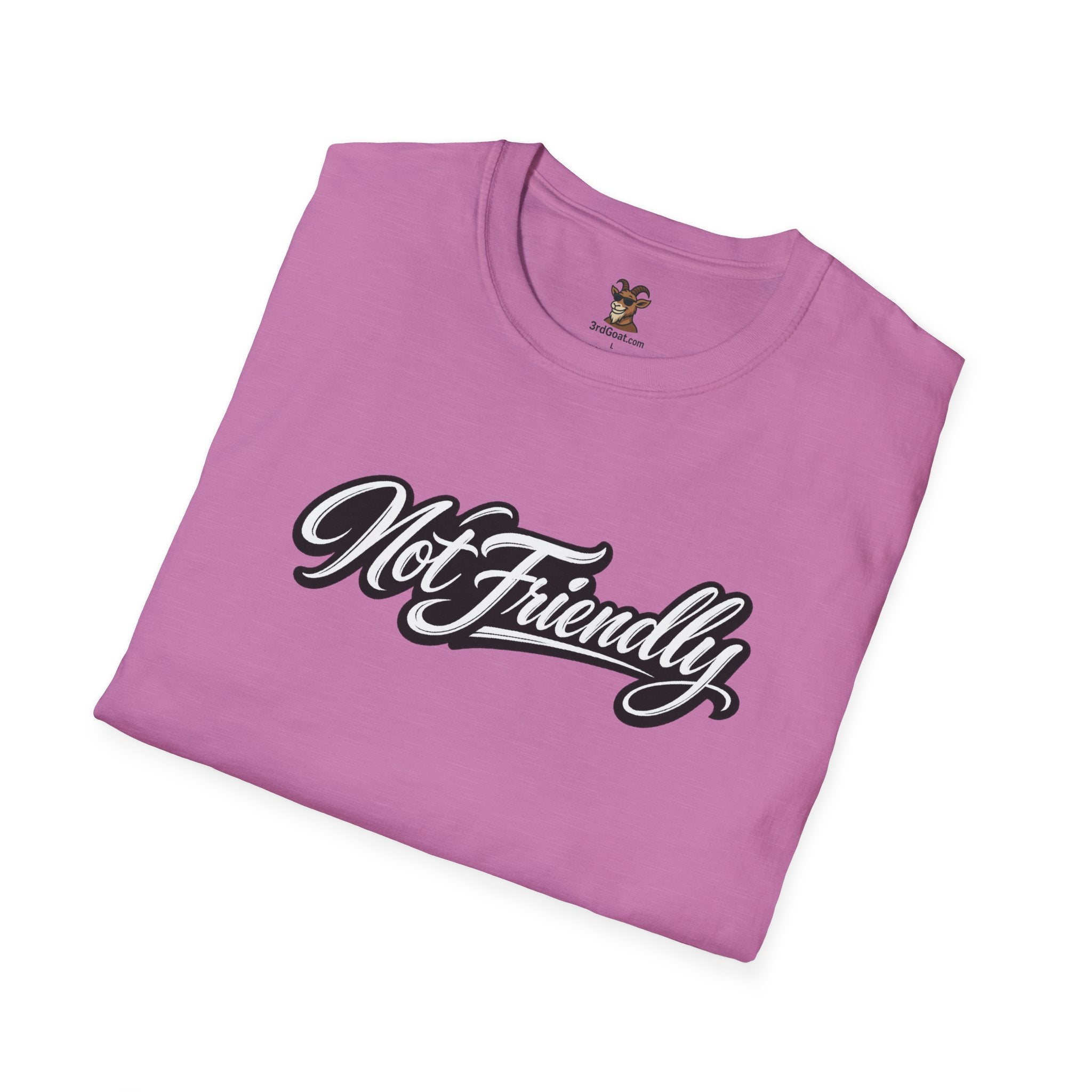 Not Friendly Graphic T-Shirt — Retro Script Statement Tee