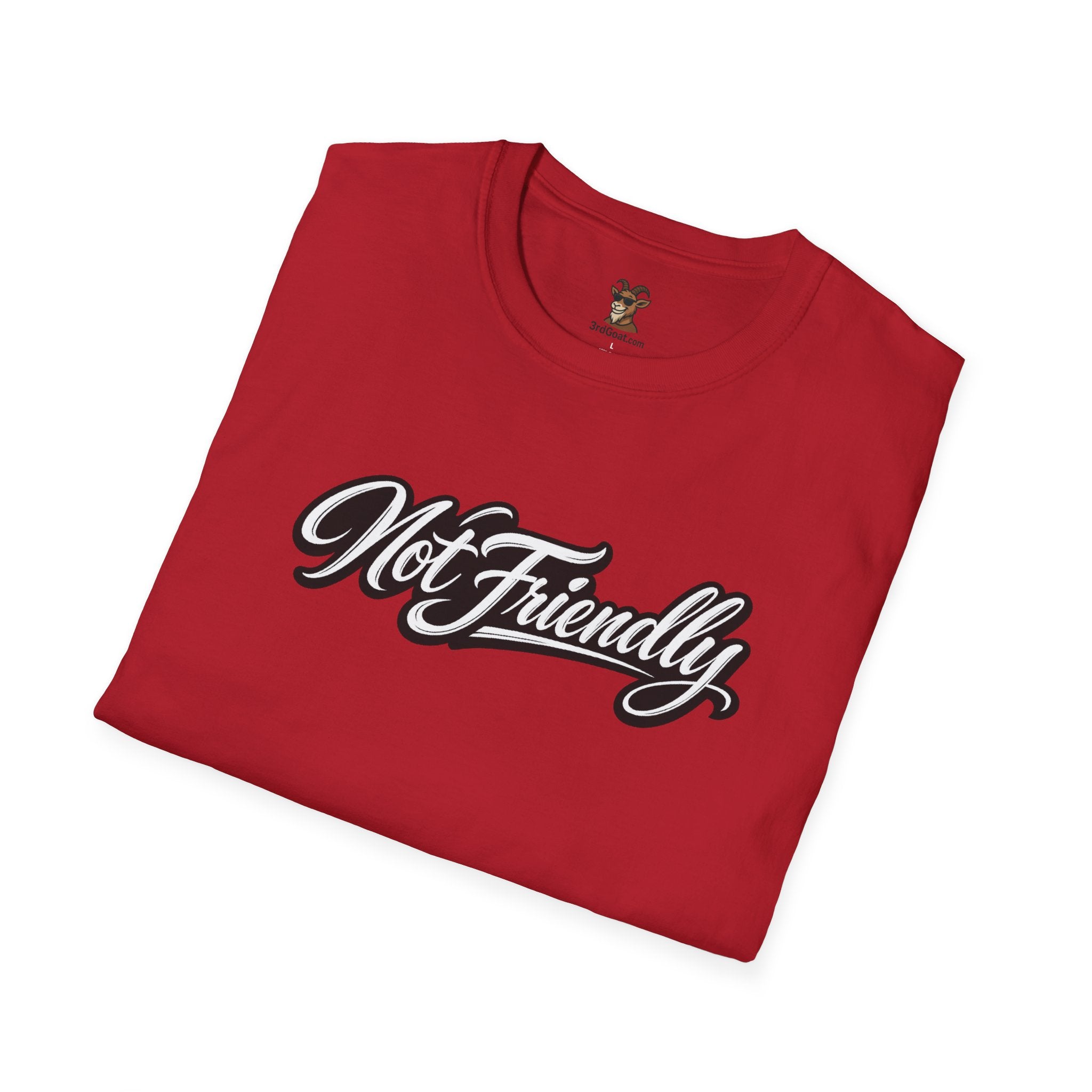 Not Friendly Graphic T-Shirt — Retro Script Statement Tee