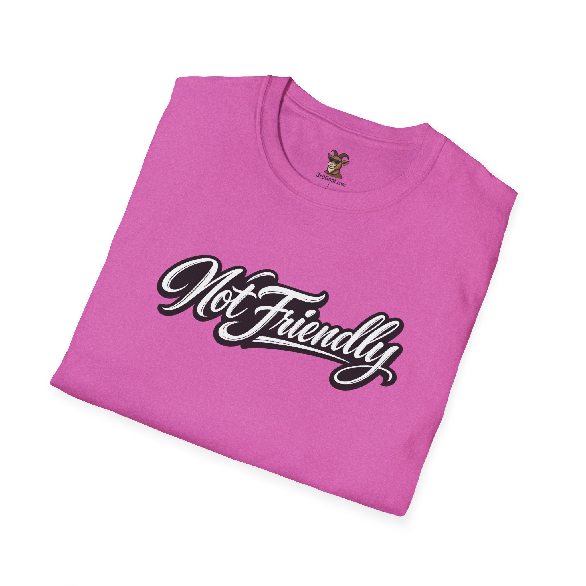 Not Friendly Graphic T-Shirt — Retro Script Statement Tee